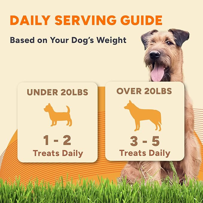 Gaines Family Farmstead Sweet Potato Chews for Dogs - 14 oz Bag, Single Ingredient, Sweet Potato Dog Treats, High Fiber, Grain-Free, Rawhide Alternative, Vitamin-Rich, Made in USA