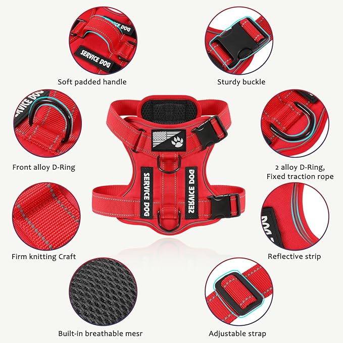 Demigreat Service Dog Harness, Reflective Dog Vest Harness with 5 PCS Patches, Adjustable Soft Oxford Pet Harness, Inner Layer Mesh, Easy to Control for Dogs (All-RED, Large (Pack of 1))