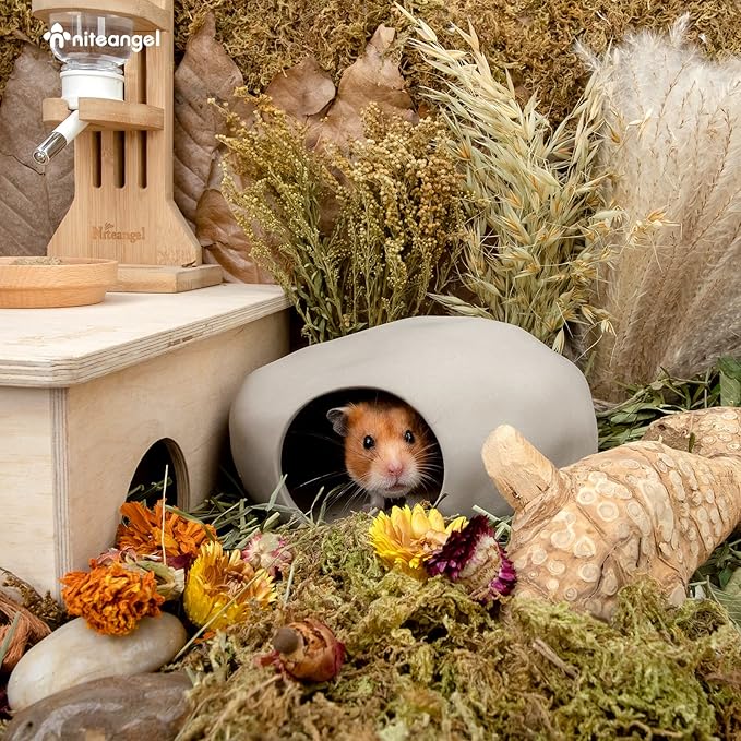 Niteangel Ceramic Hamster Habitat Hideout: - Hideaway House for Syrian Dwarf Hamster Mice Gerbils Lemmings or Other Similar-Sized Small Pet (Stone-Shaped - for Syrian)