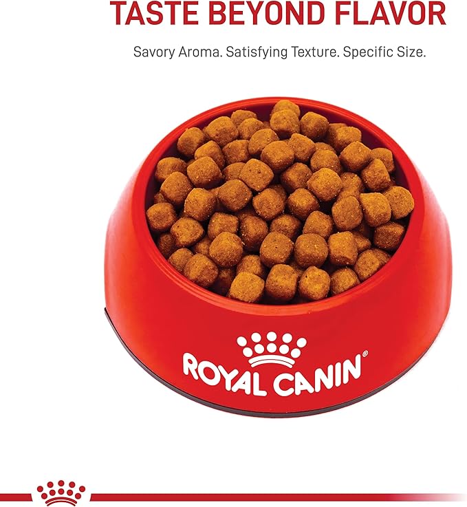 Royal Canin Feline Breed Nutrition Maine Coon Adult Dry Cat Food, 6 lb Bag