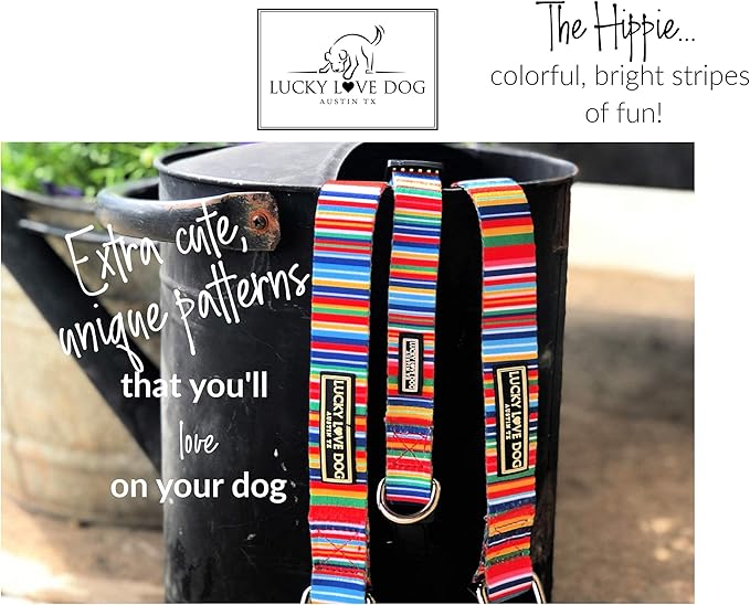 Lucky Love Dog - Easy Click Buckle Dog Collar with Leash Set Combo, Durable & Comfortable for Male & Female Dogs, Pet Collar for Small to Large Dogs, Secure Fit - Hippie Combo, Large