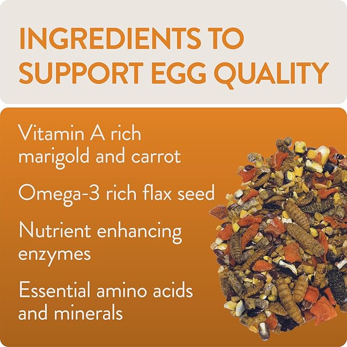 Enhance, Functional Poultry Treats for Egg Production & Quality, 3.5 lb (Pack of 2)