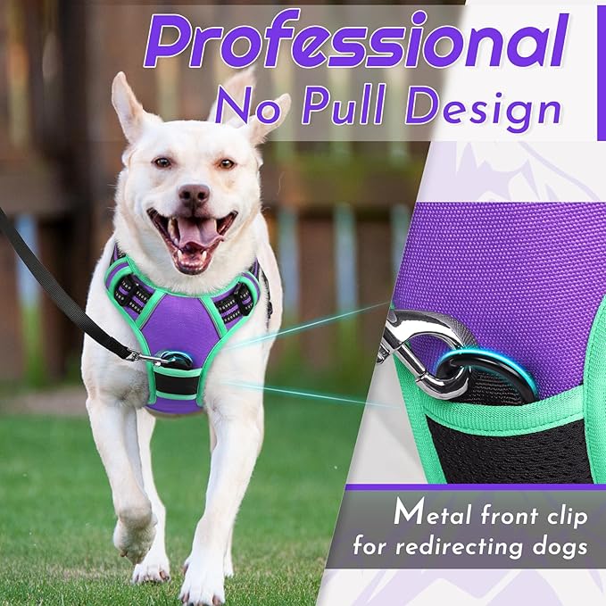 Eagloo Dog Harness for Large Dogs, No Pull Service Vest with Reflective Strips and Control Handle, Adjustable and Comfortable for Walking, No Choke Pet Harness with 2 Metal Rings, Purple & Green, L