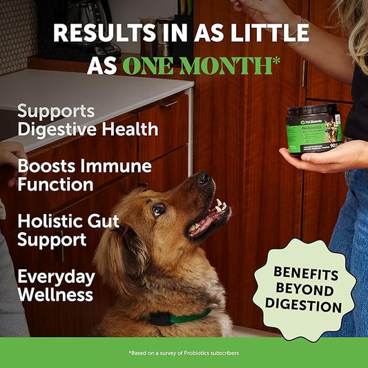 Probiotics for Dogs for Occasional Diarrhea & Bowel Support, Digestive Enzymes with Prebiotics for Gut Health for Dogs, Immunity Health & Itch Relief (Pumpkin 90 ct)