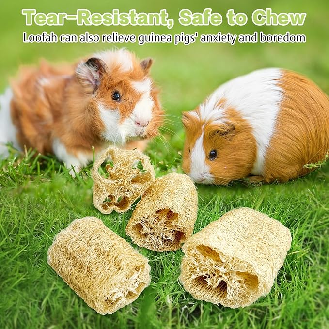 BNOSDM Bunny Chew Toys Natural Loofah 4PCS Bunny Teeth Grinding Toy Rabbit Fiber-Rich Treats Pet Entertainment Accessories for Rabbits Chinchillas Guinea Pig（M）