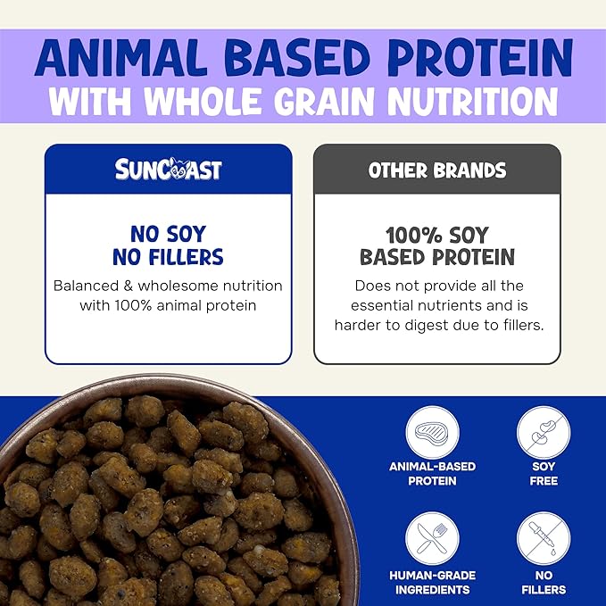 Wholesome Balance Sugar Glider Food - Honey & Yogurt | 3 lbs of Premium Dense Food for Sugar Gliders and Small Animals - 4 Months Supply