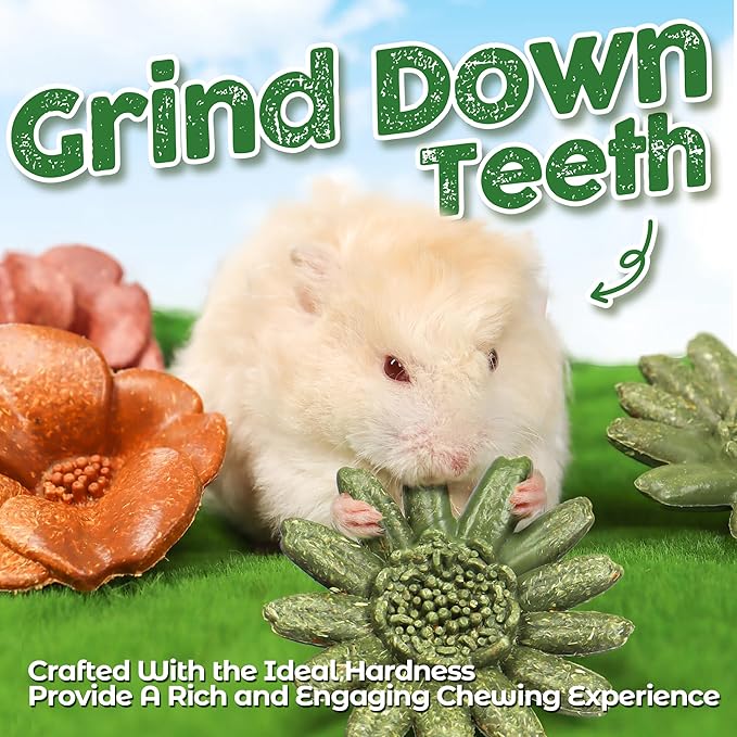 TEEWY 4PCS Guinea Pig Chew Toys, Prevent Teeth Overgrowth, Natural Timothy Grass & Vegetables, Hamster Chew Toys, Guinea Pig Toys, Chinchilla Toys, Grass Patch & Flowers