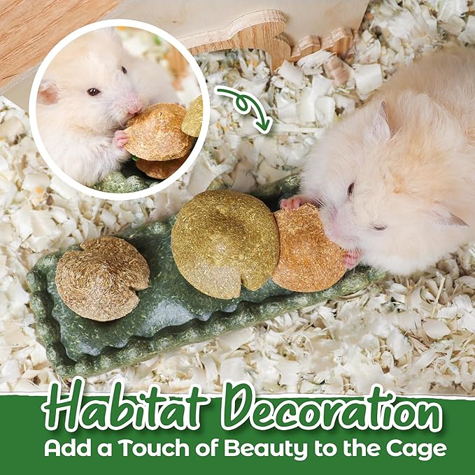 TEEWY 4PCS Guinea Pig Chew Toys, Prevent Teeth Overgrowth, Natural Timothy Grass & Vegetables, Hamster Chew Toys, Guinea Pig Toys, Chinchilla Toys, Grass Patch & Mushrooms