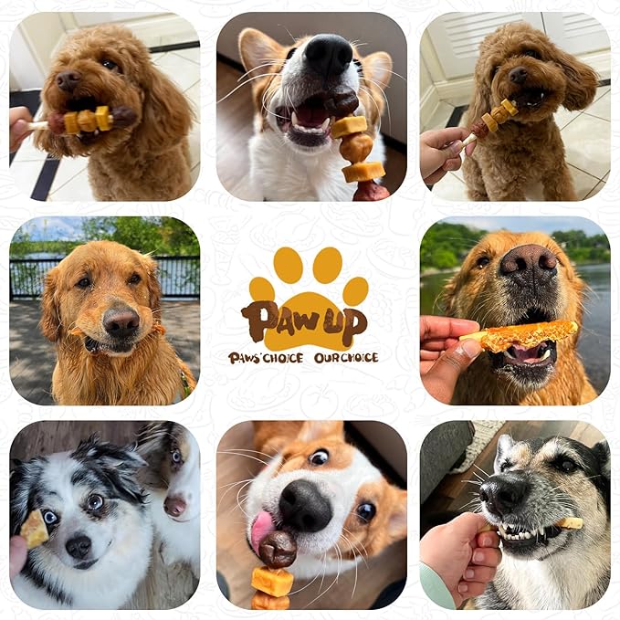 Dog Treats, Kabobs Chews Made with Sweet Potato, Turkey, Chicken & Duck, Rawhide Sticks for Dogs, Long-Lasting, High Protein Dog Treat for Small Medium Large Dogs, 12 Count
