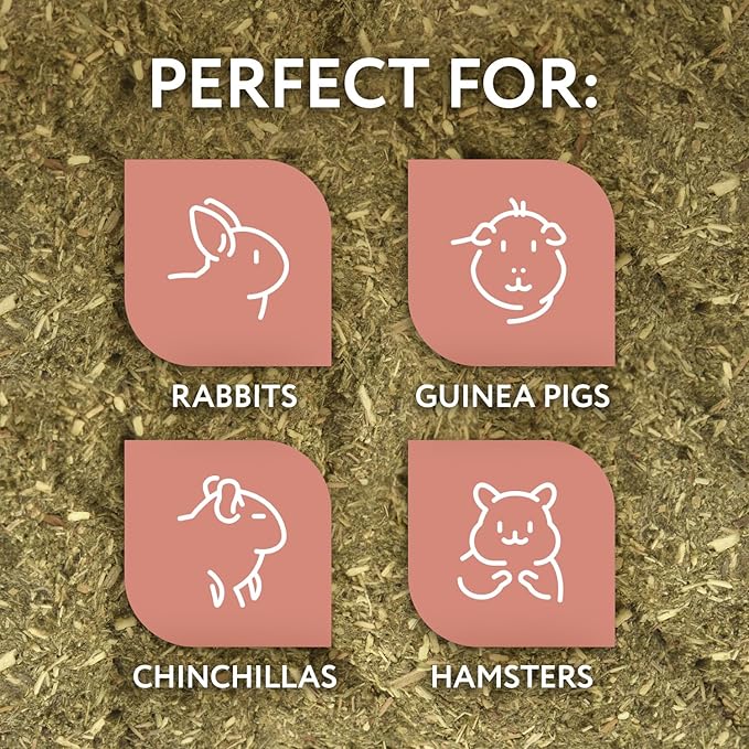 Evergreen Pet Supplies Guinea Pig Bowl - 4-Pack, Green & Brown - Edible Food & Chew Bowls for Rabbits & Guinea Pigs - Toys for Ferrets & Hamsters