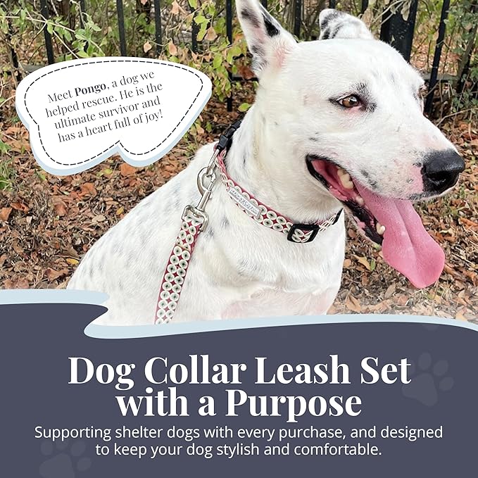 Lucky Love Dog - Easy Click Buckle Dog Collar with Leash Set Combo, Durable & Comfortable for Male & Female Dogs, Pet Collar for Small to Large Dogs, Secure Fit - Pongo Combo, Medium