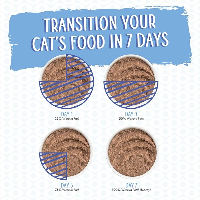 Weruva Classic Cat Paté, Who Wants to be a Meowionaire? with Chicken & Pumpkin, 5.5oz Can (Pack of 8)