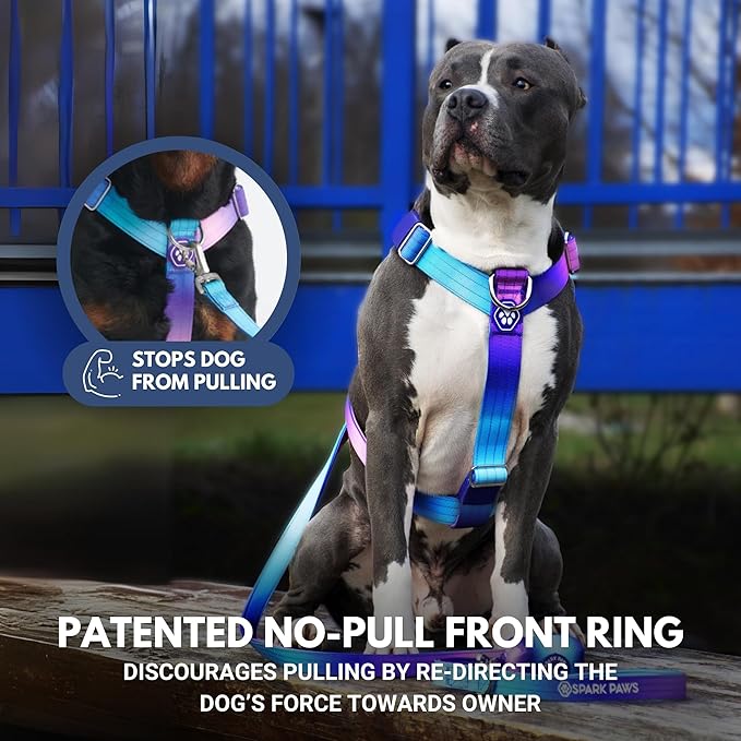 Spark Paws No Pull Dog Harness for Large Dogs, Heavy Duty Dog Harness for Big Strong Breeds, Adjustable, Y Shaped Padded Halter Design with Front Clip - 90s Retro – M