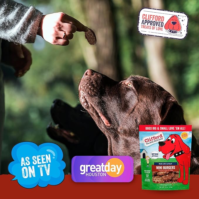 Clifford The Big Red Dog Soft Training Treats for Puppies and Dogs – Healthy, High Protein, Grain Free, Soft Puppy Treats for Small Dogs and Large – Real Beef Mini Burger Bites – 24oz