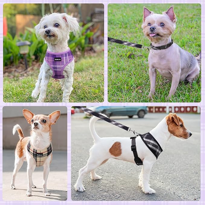 SCENEREAL No Pull Dog Harness Collar and Leash Set Small Medium Sized Dog, Soft Mesh Step in Puppy Harnesses, No Chock Plaid Adjustible Pet Vest for Outdoor Walking Training and Running, Purple S