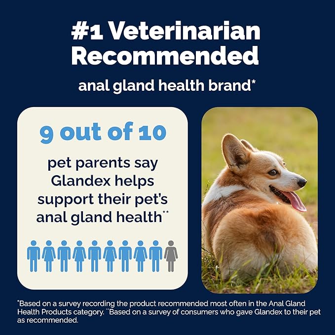 Vetnique Labs Glandex Anal Gland Soft Chew Treats with Pumpkin for Dogs Digestive Enzymes, Probiotics Fiber Supplement for Dogs Boot The Scoot (Bacon/Pork Chews, 60 Count)