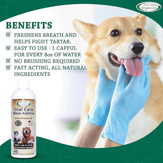 Oral Care Water Additive for Cats & Dogs – Gentle Dental Support – Reduces Breath Odors, Promotes Gum Health – No Brushing – Convenient for Daily Use, Non-Flavored, 16 FL oz