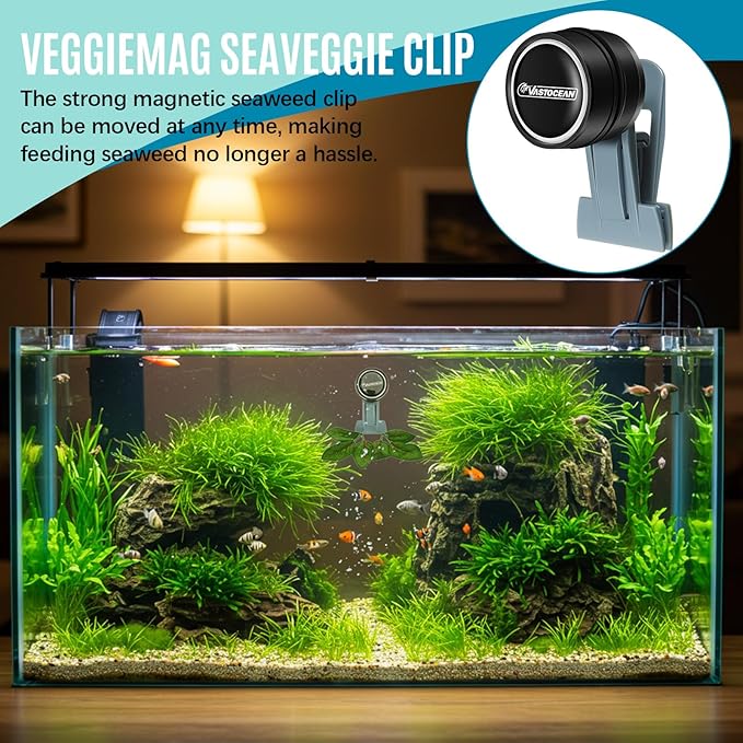 Blulu 4 Pcs Magnetic Seaweed Feeding Clips Saltwater Aquarium Tank Accessories Algae Magnet Seaweed Feeder for Fish and Aquatic Pets, Automatic Fish Feeder