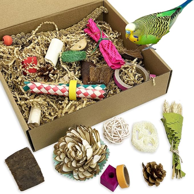 PINVNBY Natural Bird Toys Bird Foraging Box Interactive Parrot Shredding and Chewing Toy for Conure Parakeet Budgie Cockatiel Lovebird Small-Medium Birds (Large)