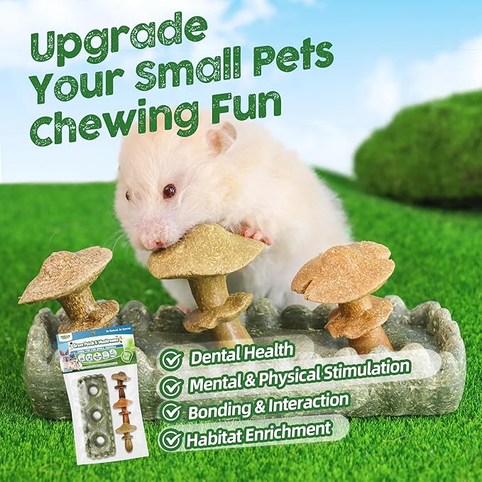 TEEWY 4PCS Guinea Pig Chew Toys, Prevent Teeth Overgrowth, Natural Timothy Grass & Vegetables, Hamster Chew Toys, Guinea Pig Toys, Chinchilla Toys, Grass Patch & Mushrooms