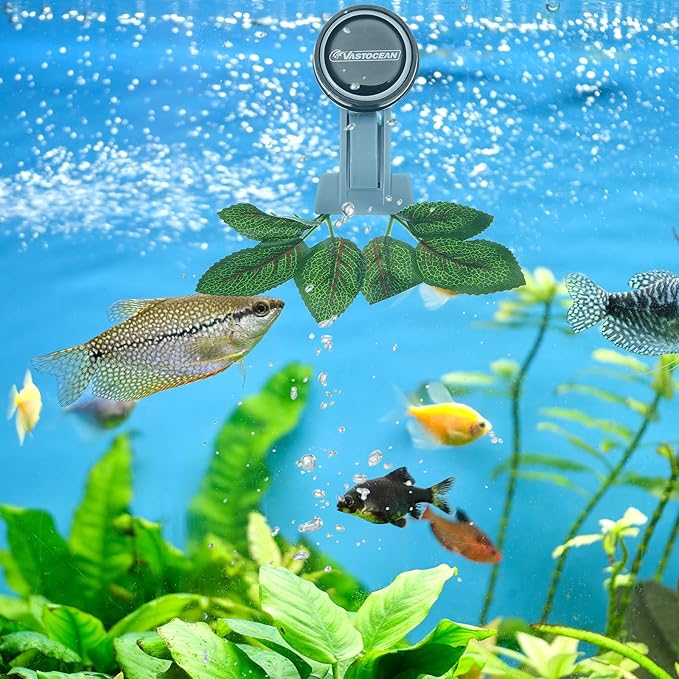 Blulu 2 Pcs Magnetic Seaweed Feeding Clips Saltwater Aquarium Tank Accessories Algae Magnet Seaweed Feeder for Fish and Aquatic Pets, Automatic Fish Feeder