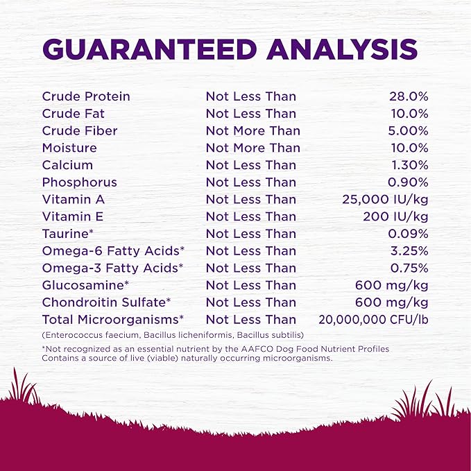 Wellness Complete Health Small Breed Dry Dog Food With Grains, Made In USA with Real Turkey and Natural Ingredients, For Dogs Up To 25 lbs, Healthy Weight, 12 Pound Bag