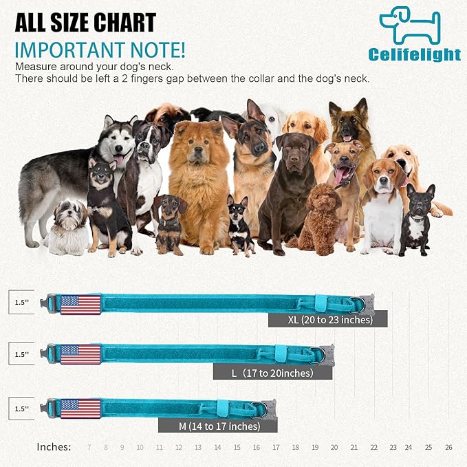 Tactical Dog Collar Military Dog Collar Adjustable Nylon Dog Collar Heavy Duty Metal Buckle with Handle for Dog Training,with Patches(Light Blue 1, M), Medium