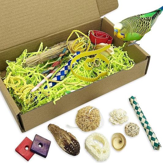 PINVNBY Bird Toys Natural Bird Foraging Interactive Parrot Shredding Box and Chewing Toy for Conure Parakeet Budgie Cockatiel Lovebird Small-Medium Birds (Medium)