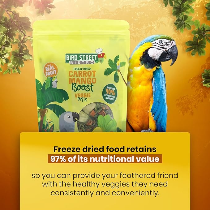 Parrot Food - Parakeet & Cockatiel Food - Cooks in 3-15 min with Natural & Organic Grains, Legumes, Non-GMO Fruits, Vegetables & Health Spices