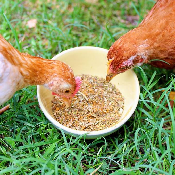 BreatheRight Chicken Coop Herbs for Hens (10 Ounce) (0.5 Pounds)