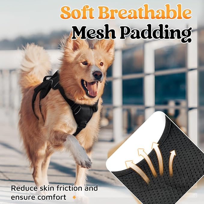 rabbitgoo Escape Proof Dog Harness, Soft Padded Full Body Pet Harness, Reflective Adjustable No Pull Vest with Lift Handle and Leash Clip for Large Dogs Walking Hiking Training, XL