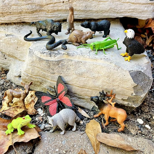 Safari Ltd In The Woods TOOB - Figurines: Elk, Otter, Monarch Butterfly, Black Bear, Snake, Eagle, Beaver, Doe, Grasshopper, Frog, Raccoon, Bison - Educational Toys for Boys, Girls & Kids Ages 3+