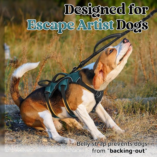 rabbitgoo Escape Proof Dog Harness Small Sized Dog, Soft Padded Full Body Pet Harness, Reflective Adjustable Vest with Lift Handle and Leash Clip for Walking Hiking Training, Dark Green, S