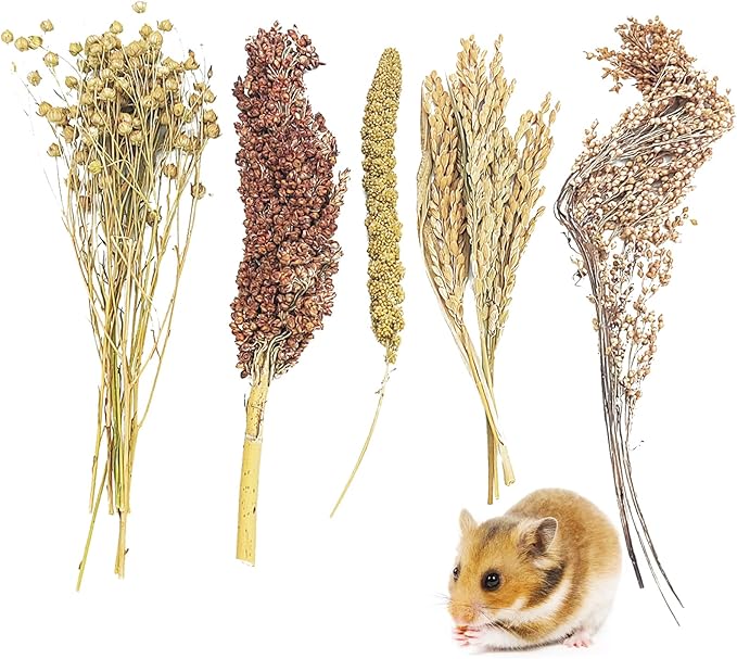 Fhiny Natural Hamster Sprays Edible Hamster Bedding Air-Dried Grain Set for Habitat Decor Mice Cage Accessories for Gerbils Lemmings Parrots Rats and Other Small Animals（0.2lb）