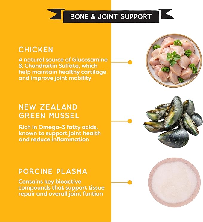 Soft Healthy Dog Treats for Joint Support & Training Snacks Made with Glucosamine, Chondroitin Sulfate & New Zealand Green Mussel - Savory Chicken - 16 oz