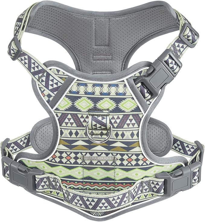 Dog Harness for X-Small Dog Breed, Light Pet Vest Harness with 2 Leash Clips and 3 Buckles, Easy to Wear, Adjustable Reflective Soft Padded, Boston Terrier, Poodles, XS