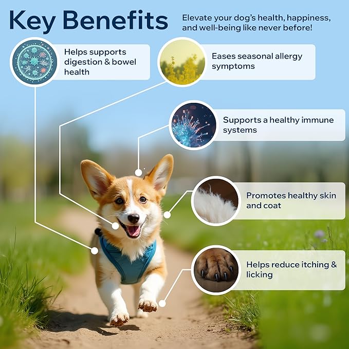 Dog Probiotics for Yeast, Itchy Skin and Itchy Ears, Allergy Relief, Daily Immune Support with Prebiotic & Digestive Enzymes (Gut Health) for Dogs, Reduce Diarrhea, Constipation & Gas Relief - 90ct
