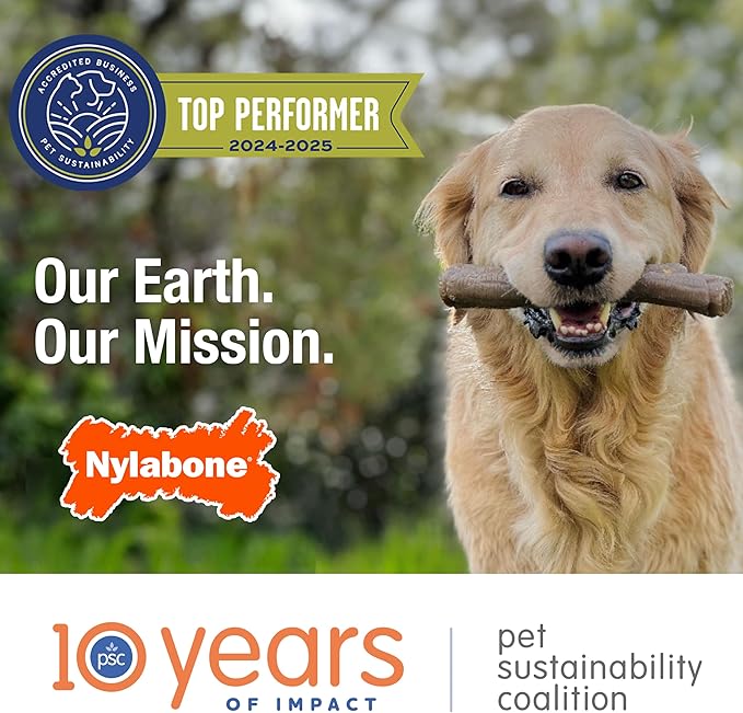 Nylabone Limited Edition 70th Birthday Textured Bone Power Chew Toy for Dogs, Durable & Tough Dog Toys for Aggressive Chewers, Roasted Chicken Flavor, Medium Dogs - Up to 35 lbs (1 Count)