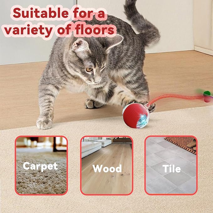 Interactive Cat Toys for Indoor Cats, Automatic Cat Toy with Elastic Mesh Tail, Electric Rolling Ball on Carpet, Chirping and Motion Activate Cat (Gray)