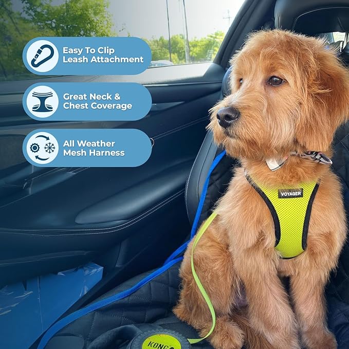 Voyager Step-in Air All Weather Mesh Harness and Reflective Dog 5 ft Leash Combo with Neoprene Handle, for Small, Medium and Large Breed Puppies by Best Pet Supplies - Lime/Black Trim, Large