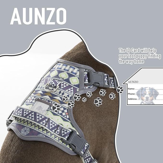 Dog Harness for X-Small Dog Breed, Light Pet Vest Harness with 2 Leash Clips and 3 Buckles, Easy to Wear, Adjustable Reflective Soft Padded, Boston Terrier, Poodles, XS