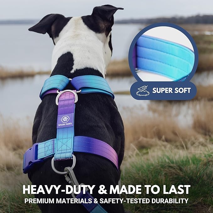 Spark Paws No Pull Dog Harness for Large Dogs, Heavy Duty Dog Harness for Big Strong Breeds, Adjustable, Y Shaped Padded Halter Design with Front Clip - 90s Retro – M
