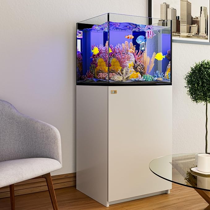 Saltwater Aquarium Tank | 37 Gallon Ultra Clear Glass with Sump, White