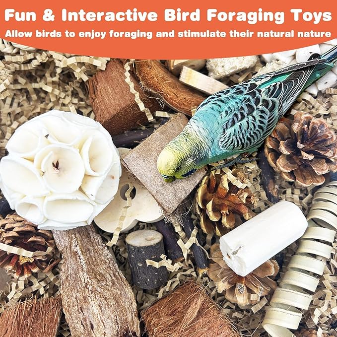 PINVNBY Bird Toys Natural Parrot Shredding Toy Interactive Bird Foraging Box and Chewing Toys for Conure Parakeet Budgie Cockatiel Lovebird Small-Medium Birds (Large)