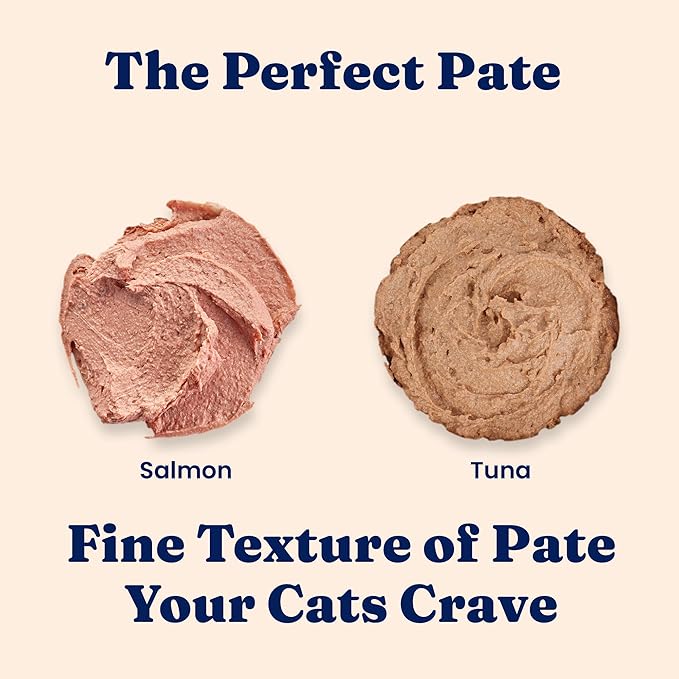 Solid Gold Tropical Blendz Salmon Pate in Coconut Oil - Nutrient-Rich Wet Cat Food for All Life Stages, 8 Pack