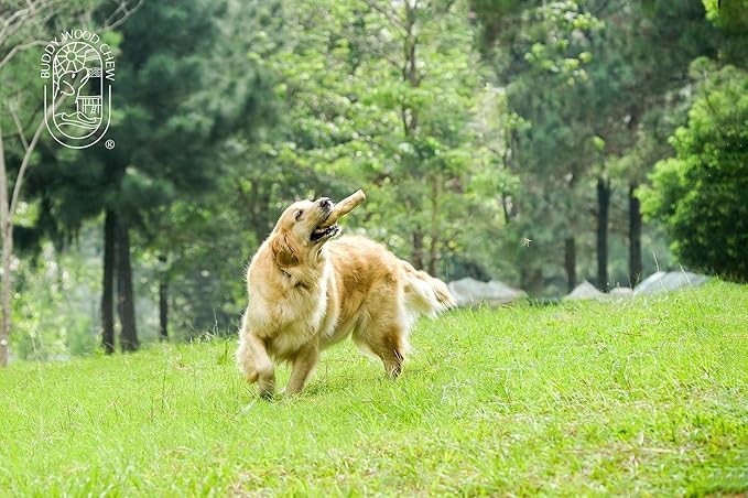 Coffee Wood Toys for Dog- Gorilla Chew, Natural Dog Bone Alternative, Durale, Long Lasting Wood Chew for Dogs… (L)