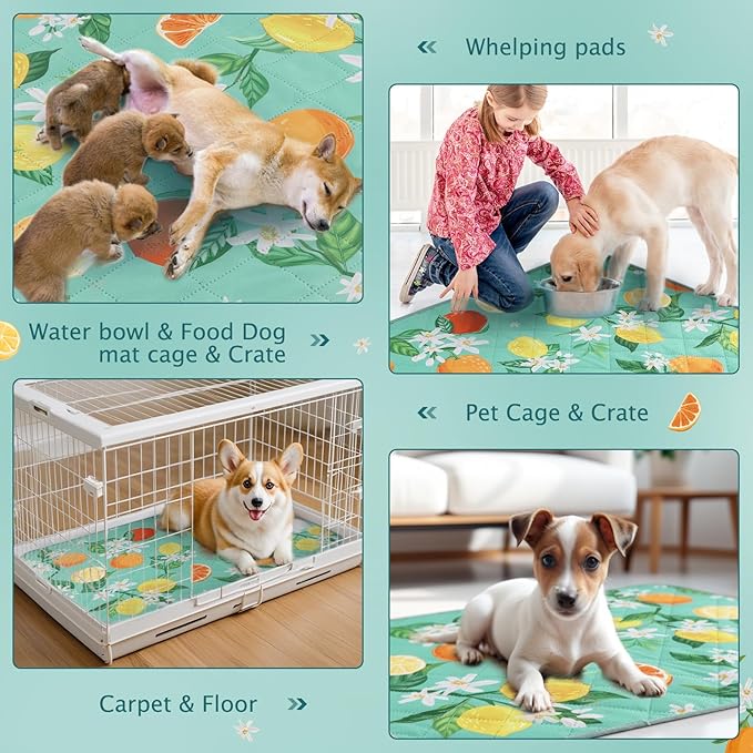 BVAGSS Washable Pee Pads for Dogs, 2 Pack Reusable Leakproof Puppy Wee Wee Pad, Non-Slip Waterproof Pet Training Pads, Super Absorbent Whelping Pads XH081 (Green Lemon, 30X20 Inch (Pack of 2))