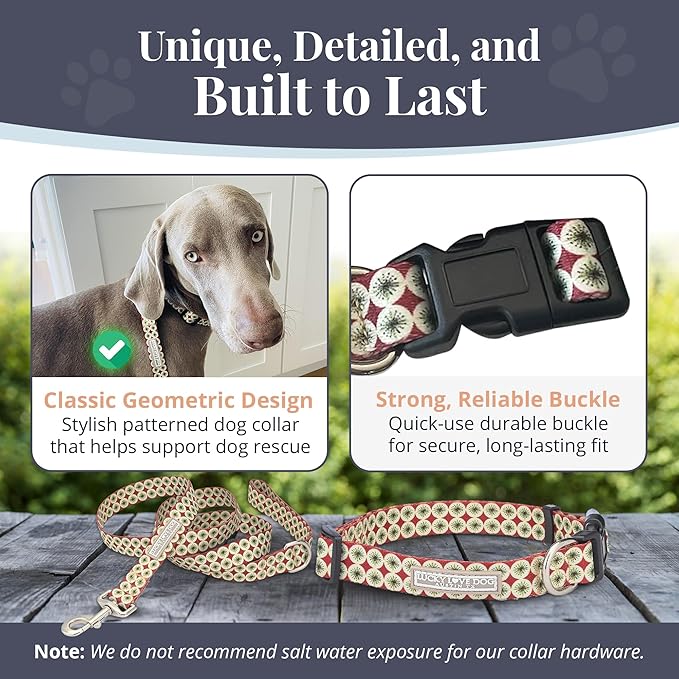 Lucky Love Dog - Easy Click Buckle Dog Collar with Leash Set Combo, Durable & Comfortable for Male & Female Dogs, Pet Collar for Small to Large Dogs, Secure Fit - Pongo Combo, Medium
