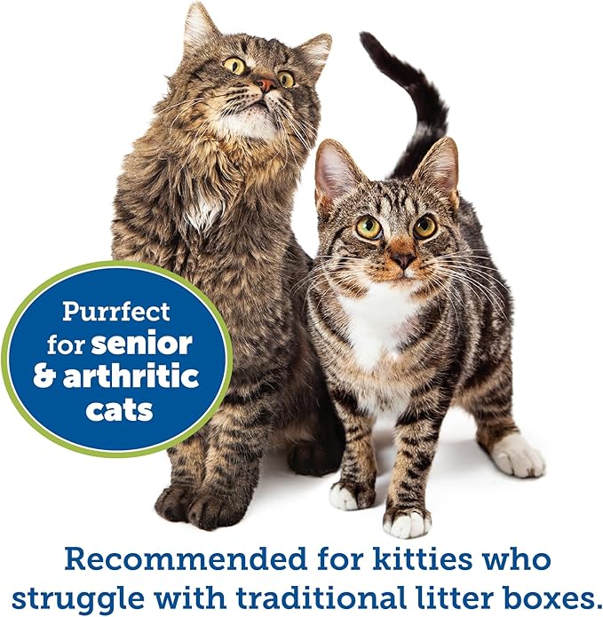 KittyGoHere Senior Cat Litter Box 2 Pack, Large Misty Gray Low Entrance Kitty Litter Box, Sized for Cats Comfort, Perfect for Senior and Arthritic Cats, Made in USA – Includes Long-Handle Jumbo Scoop