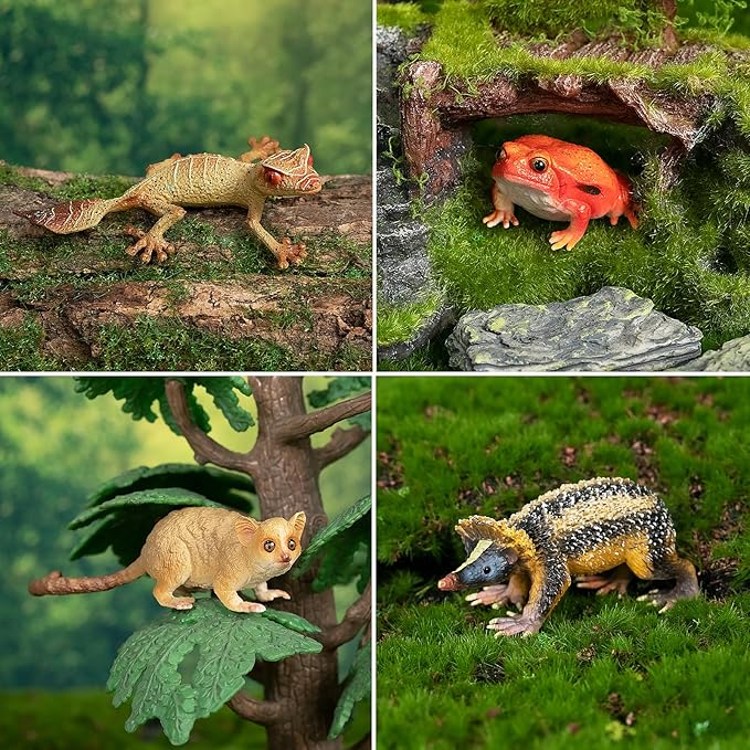 Toymany 12PCS Madagascar Animal Figurines Set, Realistic Lemur Jungle Animal Toys Set Includes Chameleon, Tortoise,Gecko,Fossa,Sifaka -Educational Forest Animals Figure Toy Collection for Kids Adults